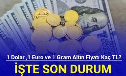 1 dolar ,1 euro ve 1 gram altın fiyatı kaç TL? (27 Temmuz 2024)