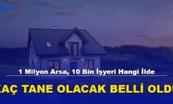 1 Milyon Arsa, 10 Bin İşyeri Hangi İlde Kaç Tane Olacak Belli Oldu! 