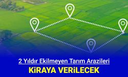 2 yıldır ekilmeyen tarım arazileri kiraya verilecek: Parası kime gidecek?