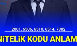 2001, 6506, 6510, 6514, 7302 Nitelik Kodu Anlamı Nedir? Ne Anlama Geliyor?