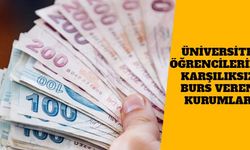 2021 Üniversite Öğrencilerine Karşılıksız Burs Veren Kurumlar Hangileri?