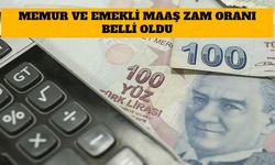 2022 Memur ve Emekli Maaş Zam Oranı Belli Oldu