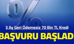 3 ay ertelemeli 70 bin TL kredi başvurusu başladı: Hangi bankalar 3 ay geri ödemesiz kredi veriyor?