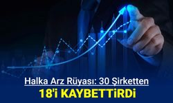 30 halka arzdan sadece 12 tanesi kazandırdı