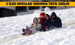 4 İlde Okullar Yarında Tatil Edildi