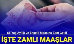 65 yaş aylığı ve engelli maaşına zam geldi 2024 son dakika