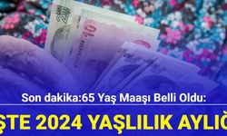 Son dakika 65 yaş aylığı ne kadar oldu? İşte 2024 yaşlılık aylığı zammı