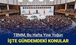 9. Yargı Paketi, 2025 bütçesi... TBMM'de bu hafta gündemi yoğun