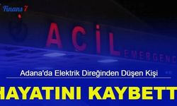 Adana'da elektrik direğinden düşen kişi hayatını kaybetti