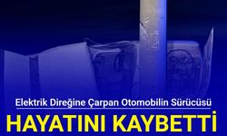 Adıyaman'da elektrik direğine çarpan otomobilin sürücüsü hayatını kaybetti