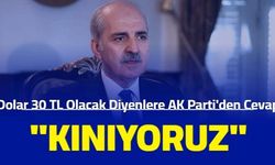 AK Parti'den Dolar 30 TL olacak diyenlere tepki: Kınıyoruz