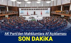 Ak Parti'den mahkumlara af açıklaması