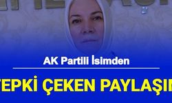 AK Partili Hülya Nergis'ten Tepki Çeken Emekli Maaşı Paylaşımı