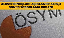 ALES/3 Sonuçları Açıklandı! Sonuç Sorgulama Ekranı