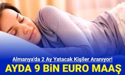 Almanya'da 2 ay yatacak personel aranıyor: Ayda 9 bin Euro maaş verilecek