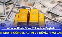 Altın ve Döviz Güne Yükselişle Başladı! 31 Mayıs Güncel Altın ve Döviz Fiyatları