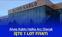 Alves Kablo halka arz oluyor: Talep toplama ne zaman, 1 lot kaç TL?