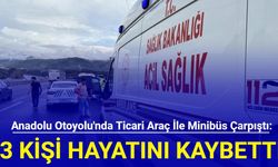 Anadolu Otoyolu'nda ticari araç ile minibüs çarpıştı: 3 kişi hayatını kaybetti