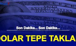 Anlık Dolar TL Tepe Taklak Oldu: Son Dakika Dolar ve Euro Tahmini Yorumu Geldi