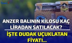 Anzer Balının Kilosu Kaç Liradan Satılacak? İşte Dudak Uçuklatan Fiyatı...
