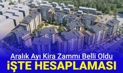 Aralık ayı konut ve işyeri kira artış oranı belli oldu: İşte kira zammı hesaplaması