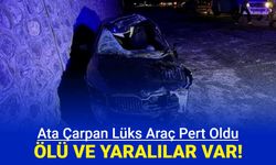 Ata çarpan lüks araç pert oldu: Ölü ve yaralılar var