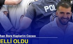 Ayhan Bora Kaplan'ın cezası belli oldu