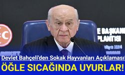 Bahçeli'den Sokak Hayvanları Açıklaması!