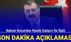 Bakan Koca'dan nezle salgını ile ilgili açıklama