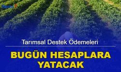 Bakanlık duyurdu: Tarımsal destek ödemeleri bugün hesaplara yatacak