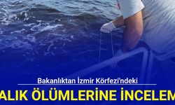 Bakanlıktan İzmir Körfezi'ndeki balık ölümlerine inceleme