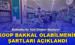 Bakkallarda Yeni Dönem Başlıyor! Koop Bakkal Olabilmenin Şartları Açıklandı! 