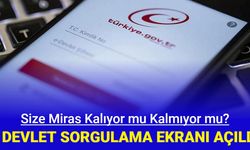 Bana miras kaldı mı, ne kalacak? E Devlet WebTapu sorgulama ekranı açıldı