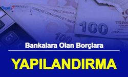 Bankalara Olan Borçlara Yapılandırma-Kredi ve Kredi Kartı Borcu