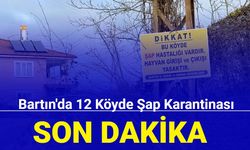 Bartın'da 12 köyde şap karantinası