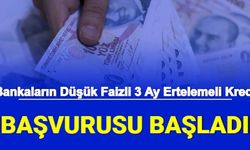 Başvuru Başladı: İşte 3 Ay Ertelemeli Kredi Veren Bankalar ve Faiz Oranları, Kredi Geri Ödeme Hesaplaması