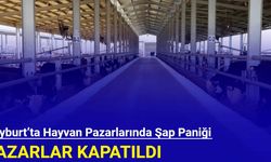 Bayburt’ta hayvan pazarlarında şap paniği: Pazarlar kapatıldı