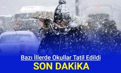 Bazı illerde okullar 10 Ocak 2024'te tatil edildi: Eskişehir, Bilecik, Çanakkale, Edirne, Tekirdağ, Kırklareli'nde okullar tatil mi son dakika