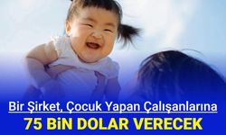 Bir şirket, çocuk yapan çalışanlarına 75 bin dolar para verecek: Booyoung Group iş başvurusu nasıl yapılır?