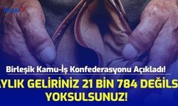 Birleşik Kamu-İş Konfederasyonu Açıkladı! Aylık Geliriniz 21 Bin 784 TL Değilse Yoksulsunuz!