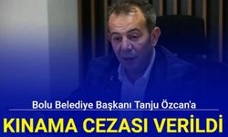 Bolu Belediye Başkanı Tanju Özcan'a kınama cezası verildi