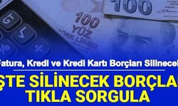 Borç Sorgulama Ekranı e Devlet'te Açıldı: İşte Silinecek Borçları Sorgulama Sayfası