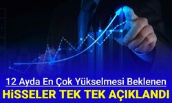 Borsada 12 ay içinde en çok yükselecek hisseler açıklandı