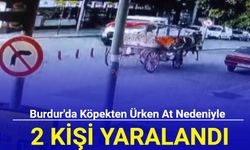 Burdur'da köpekten ürken at nedeniyle 2 kişi yaralandı