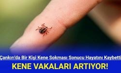 Çankırı'da Kene Can Aldı! Kene Vakaları Artıyor!
