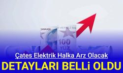 Çates Elektrik halka arz olacak: Talep toplama ne zaman, 1 lot kaç TL?