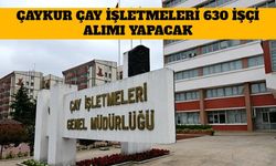 ÇAYKUR Çay İşletmeleri 630 İşçi Alımı Yapacak