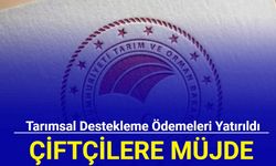 Çiftçilere müjde: Tarımsal destekleme ödemeleri yatırıldı