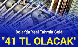 Citi'den Dolar tahmini geldi: '41 TL olacak'