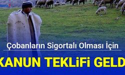 Çobanlara sigorta yapılması teklifi mecliste